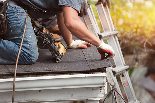 Best Roof Maintenance Services  in Solon, IA