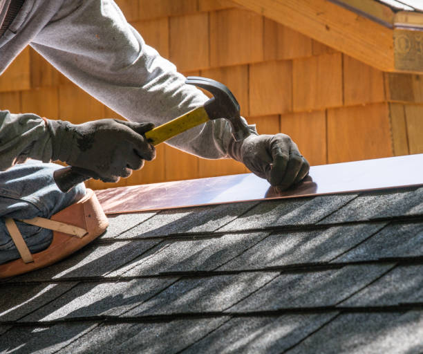 Best Roof Leak Repair  in Solon, IA